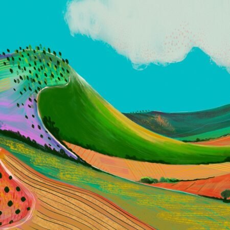 Wonkyfield